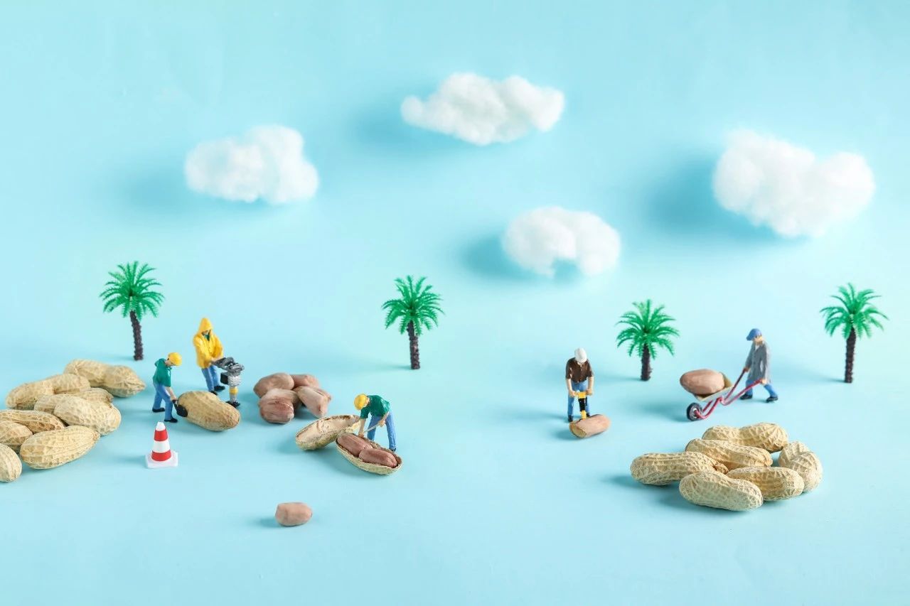 初中英语巧记单词字典,初中三年英语单词怎样背