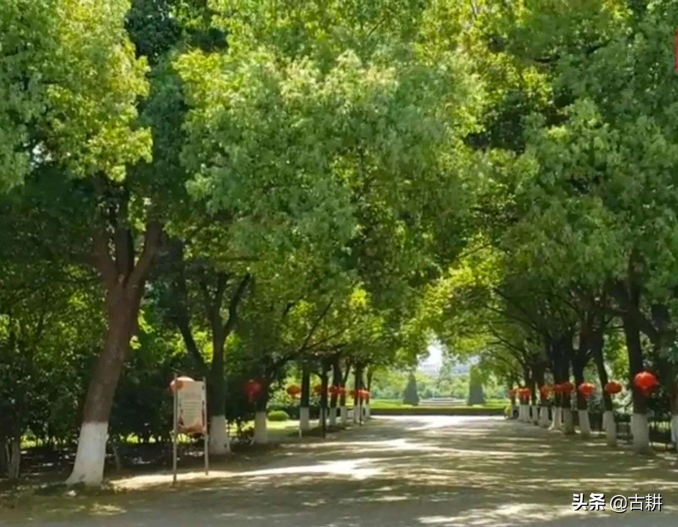 合肥曾经的明珠广场,合肥明珠广场繁华