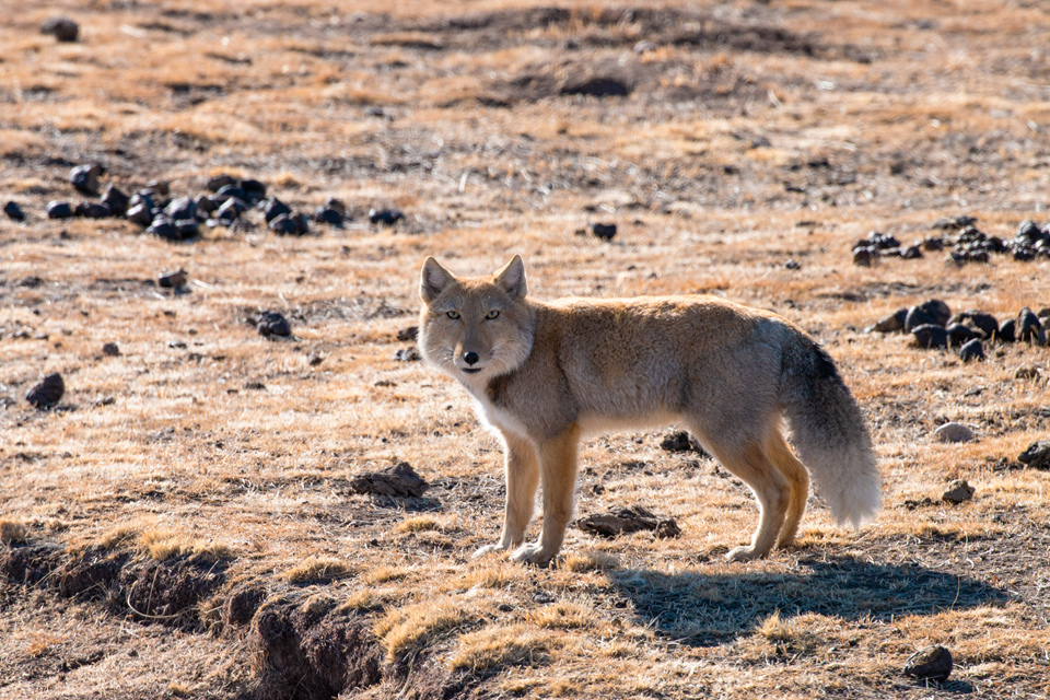 青海海北州有什么好玩的地方,青海海北有多美