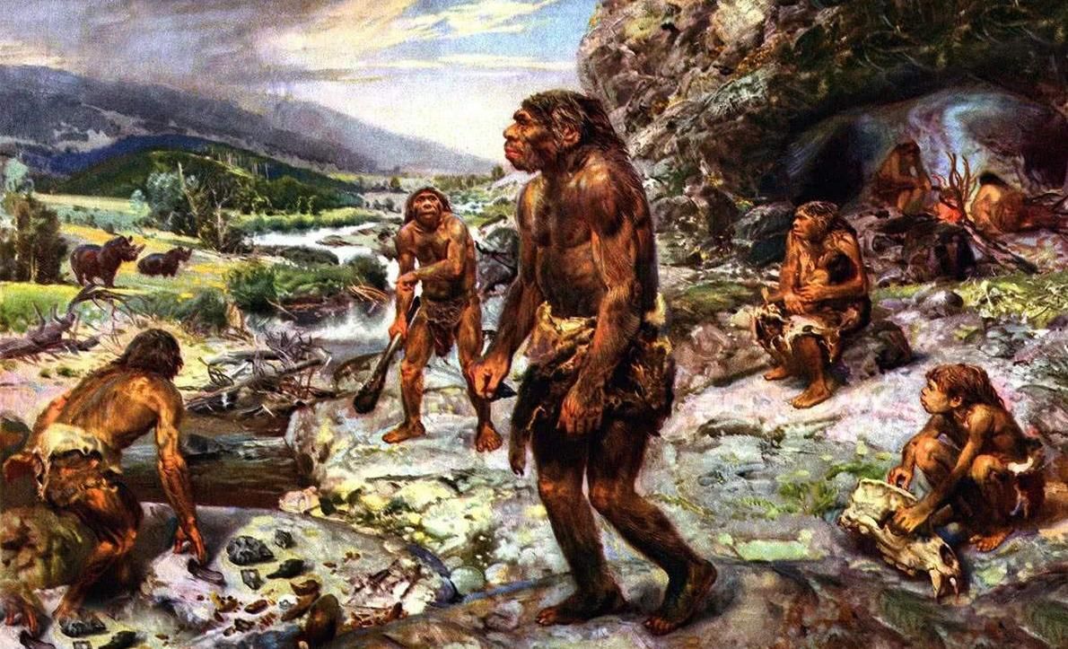 研究表明卵子具有选择性,科学家发现卵子对精子偏爱