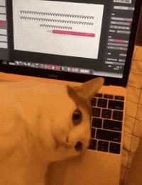 搞笑民间篮球gif,少林足球搞笑gif图片