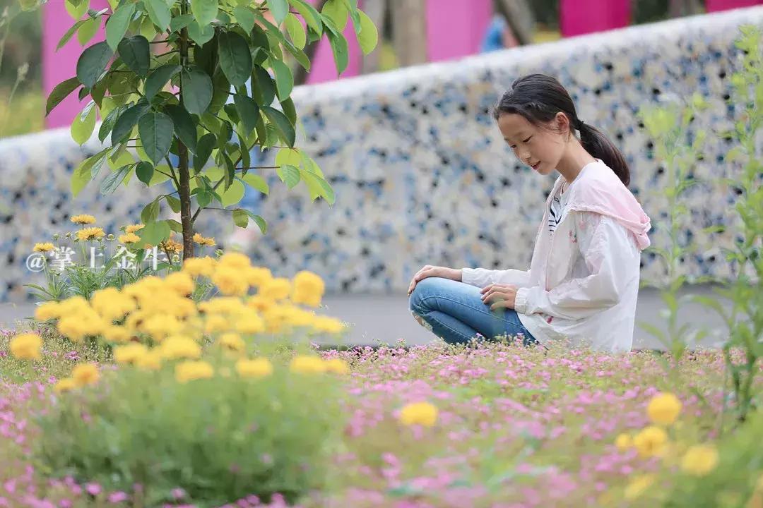 成都这处地标即将焕新归来,成都又一网红地打卡