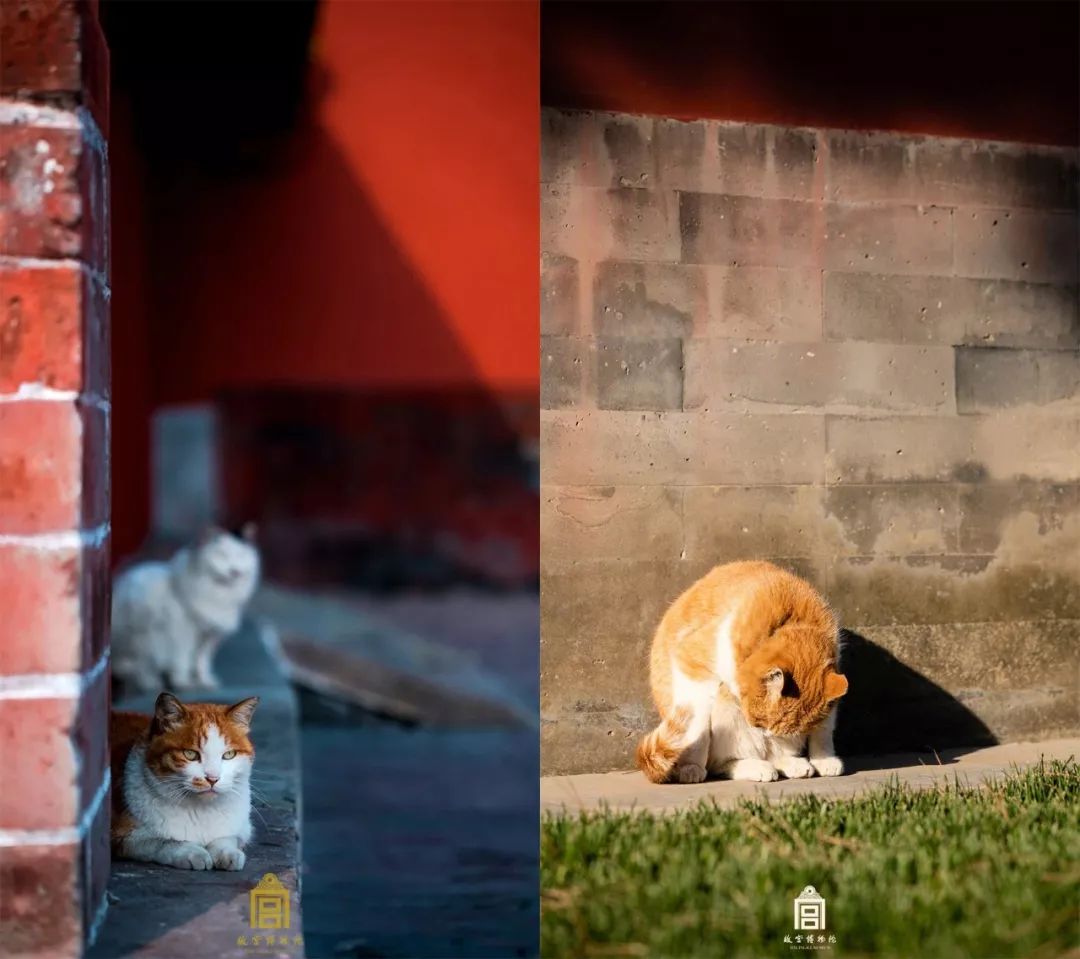 鎼虹▼鍜屽幓鍝効鏃呰鍝釜璁㈢エ鍒掔畻,鍘诲摢鍎跨綉鍜屾惡绋嬪摢涓洿濂芥洿鍒掔畻