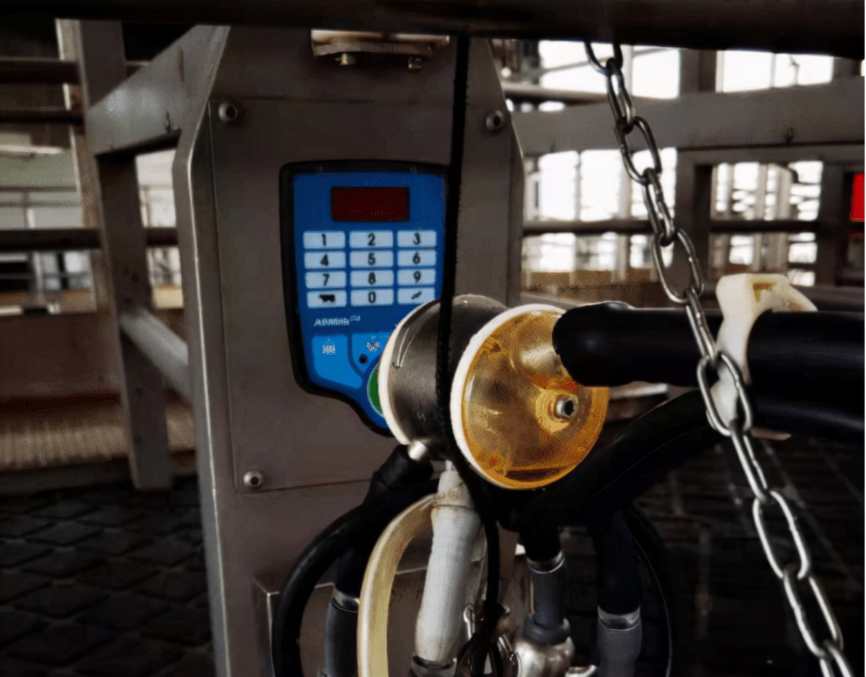 鍏ㄧ數濂剁墰,鍏ㄧ數鍏荤墰