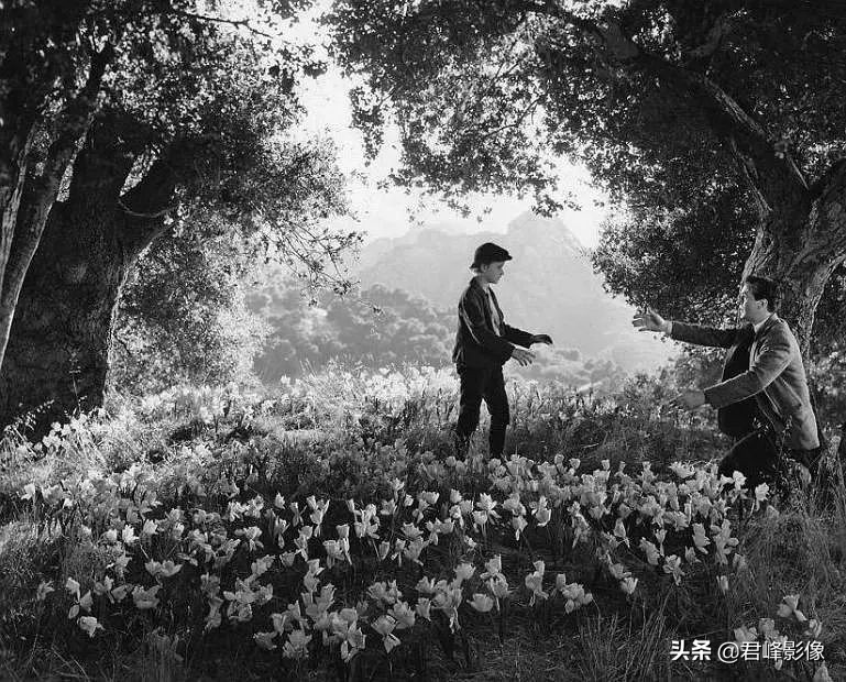 奥斯卡最佳摄影和最佳影片区别,2022奥斯卡最佳摄影影片