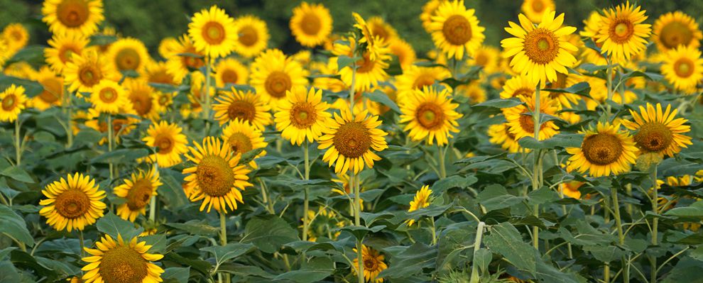 浙江工商大学本科招生信息官网,浙江工商大学官网招生系统