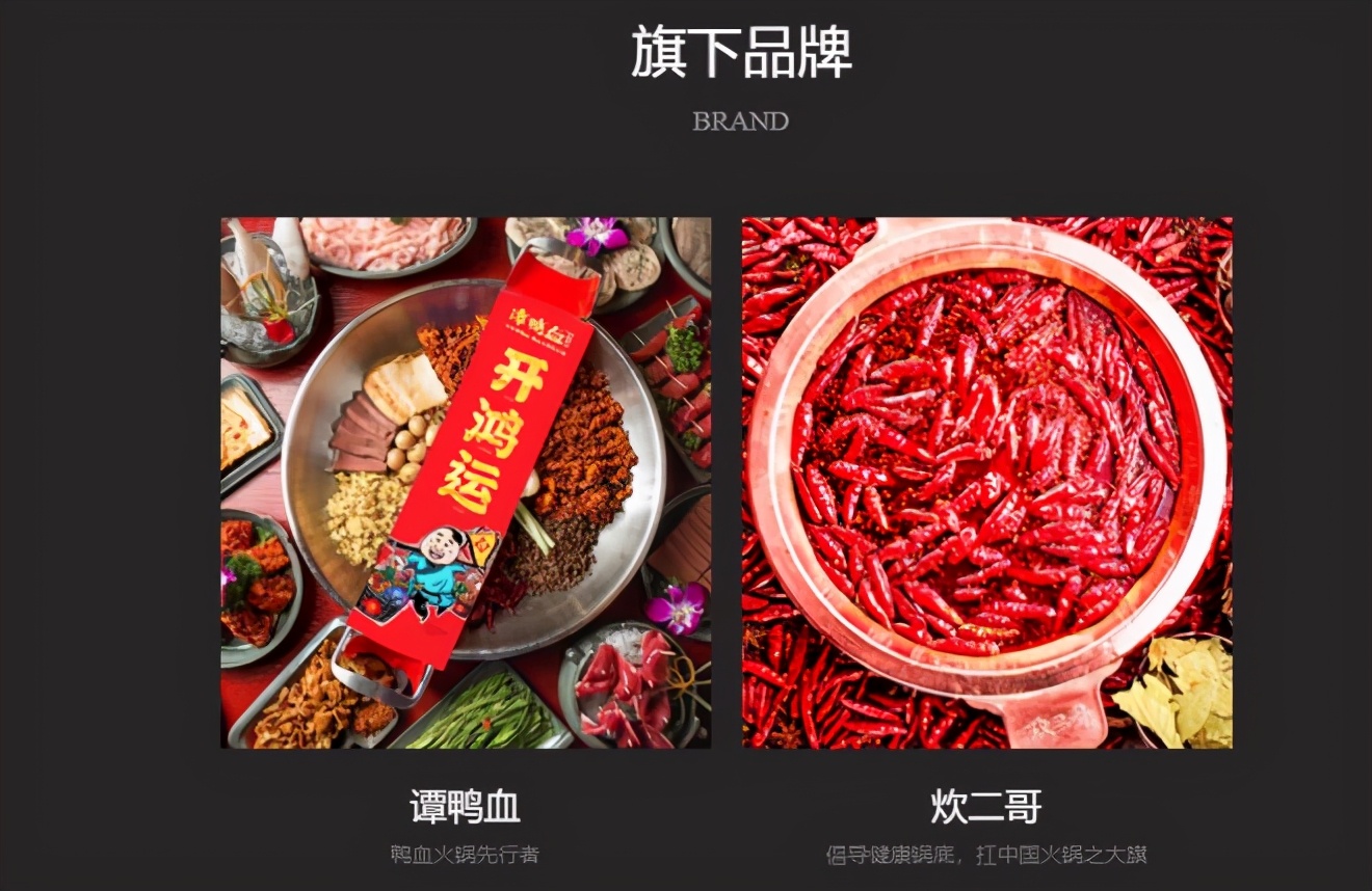 如何利用生意火爆的餐厅赚钱,明星餐饮一年赚多少钱