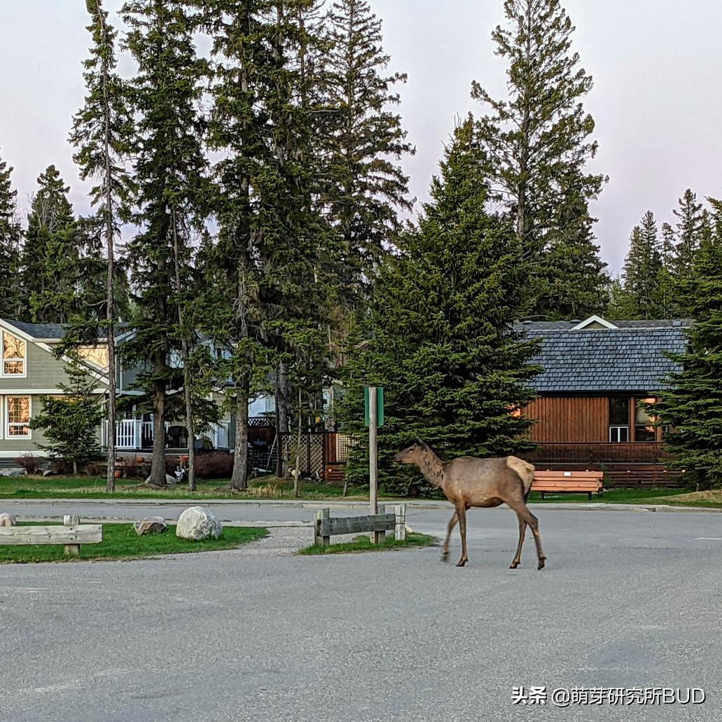 亲子不过夜露营必备物品清单,户外露营小攻略2人