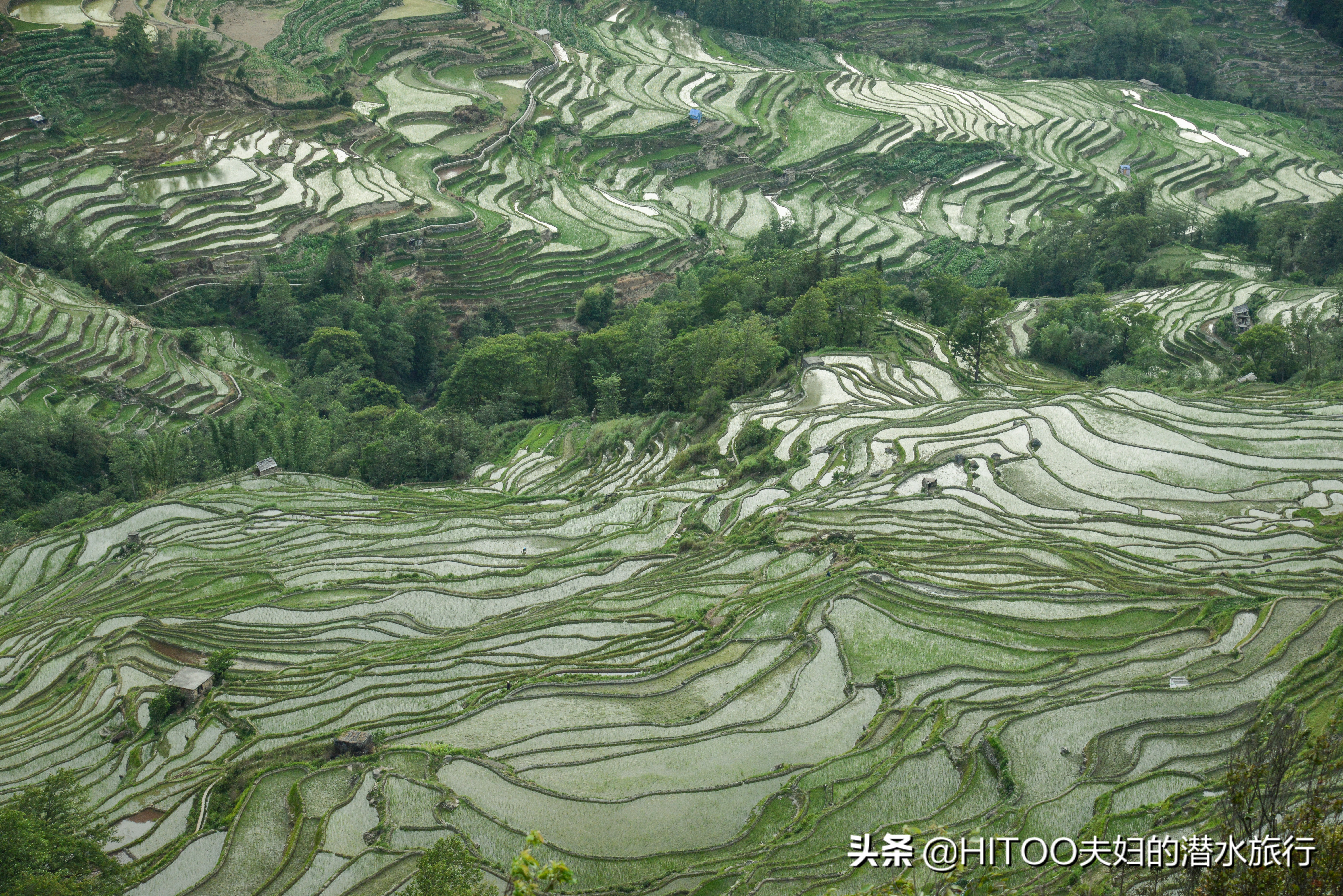 自驾元阳梯田旅游攻略时间,元阳梯田自驾游玩攻略路线