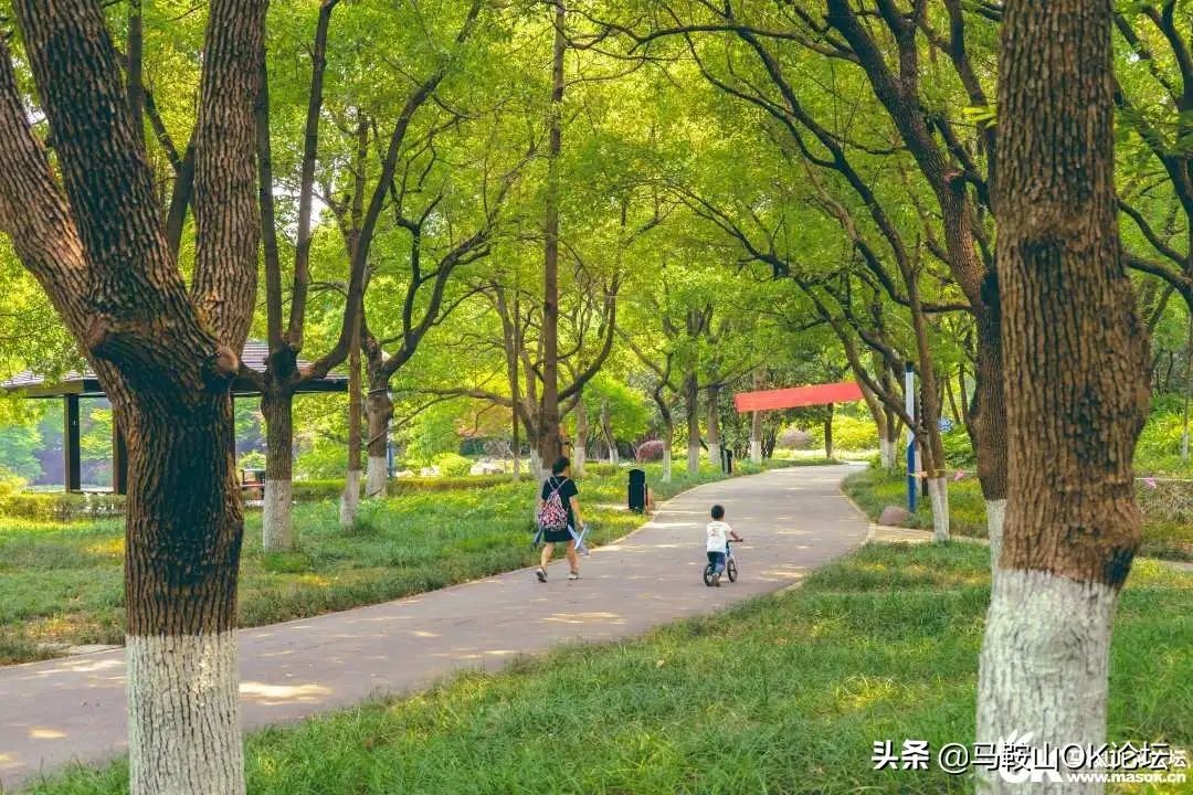 唰，就绿了！马鞍山夏天的n+1种样子