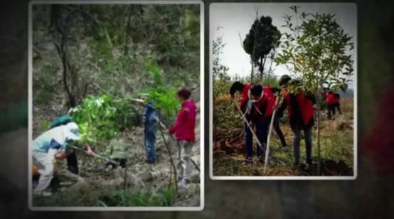 游遍中国县城,游遍中国