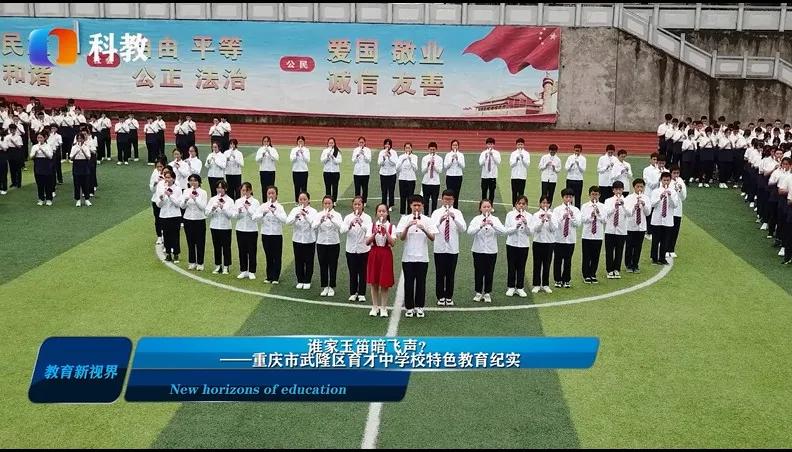 谁家玉笛暗飞声音效,《谁家玉笛暗飞声》