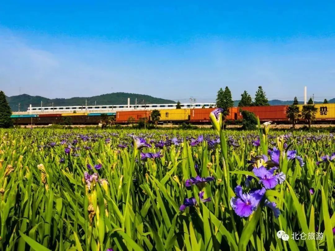 北仑旅游攻略大全集,北仑旅游攻略