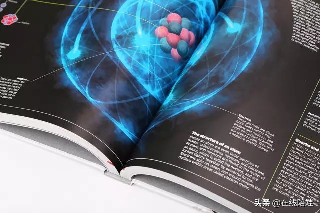 dk知识大百科全套,dk知识大百科书金银版