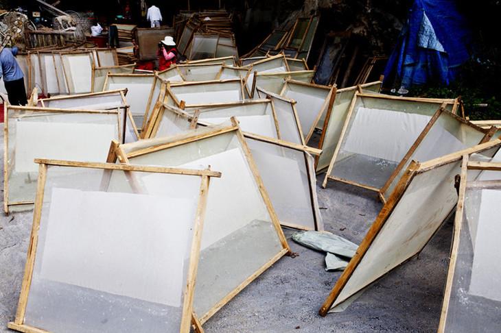 曾经泛滥的水葫芦为什么消失了,曾经入侵中国的水葫芦都去了哪里