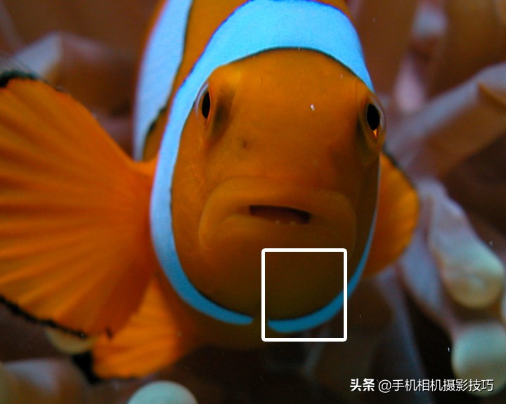 图片噪点太高后期能处理吗,噪点太高的照片后期怎么处理