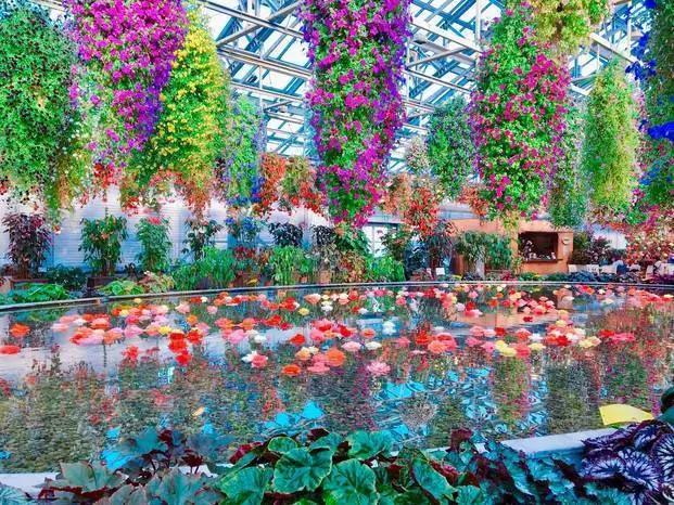 不一样的旅行完整版视频,不一样的旅行全集视频