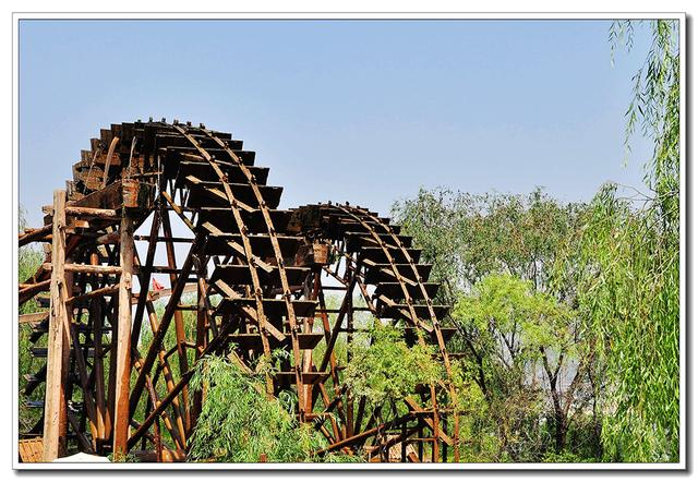 金湖水漾年华风景区,金湖水漾年华里面有什么植物