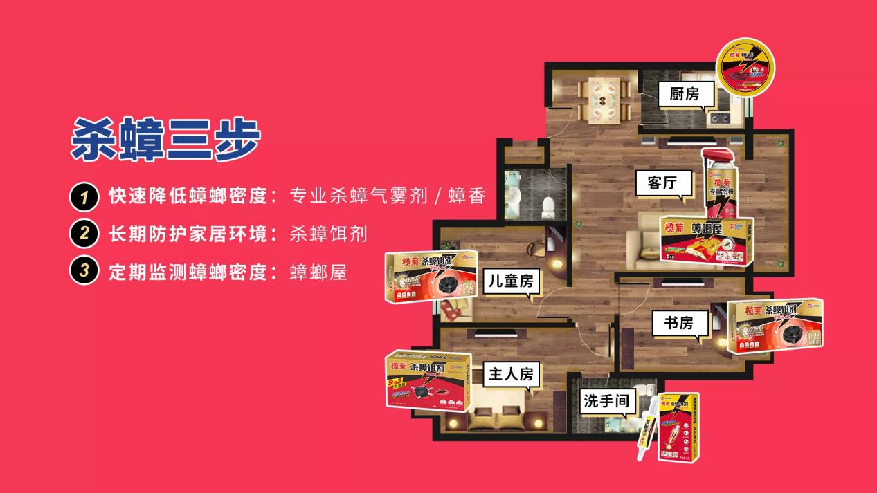 榄菊对蟑螂有效吗,狸花猫能吃蟑螂吗