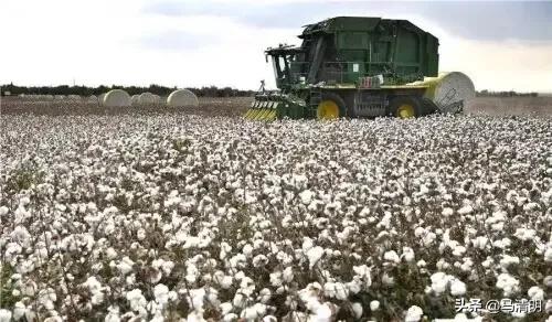 我眼中的石河子,我眼中的新疆石河子