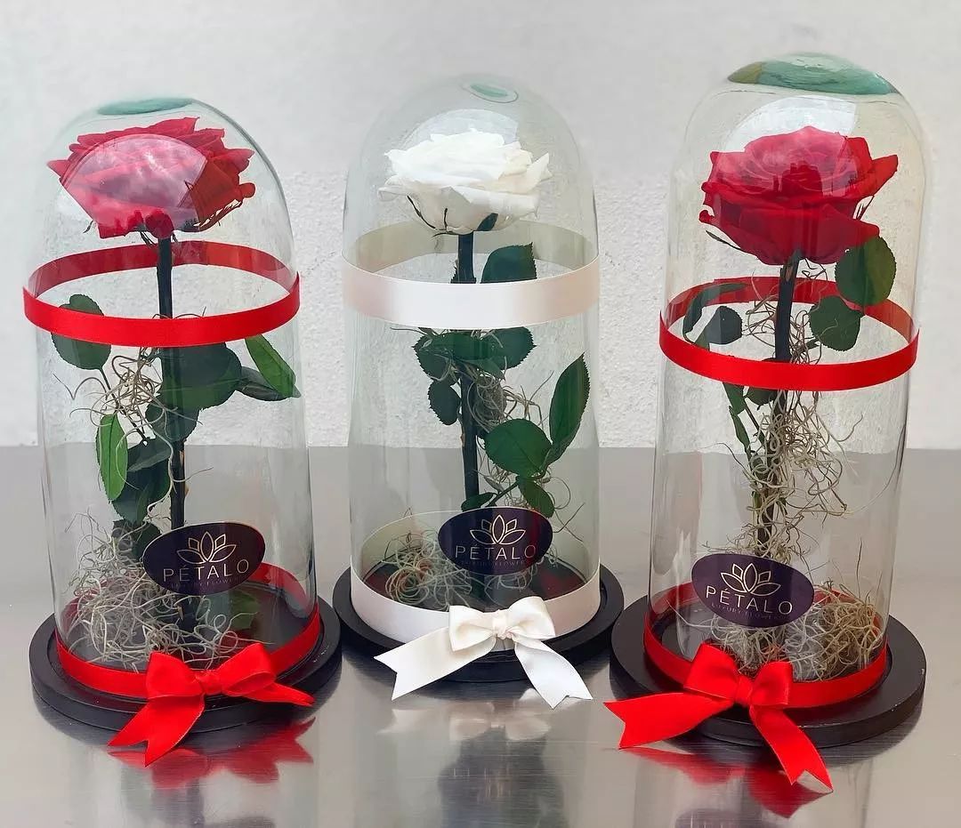 新款永生花玻璃罩,玻璃罩永生花手工diy制作