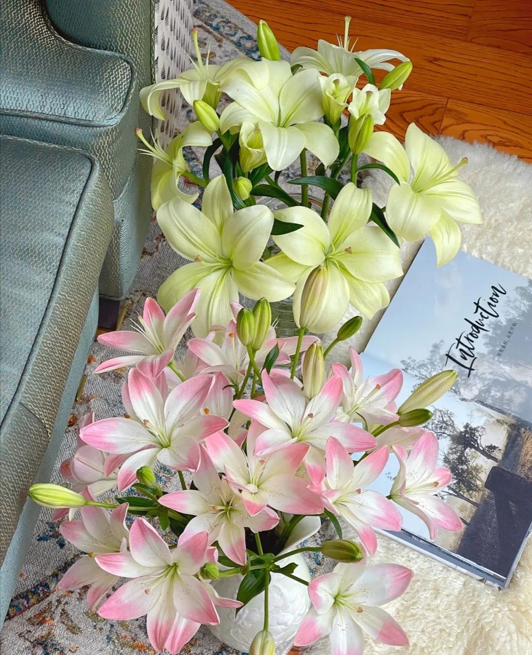 秋日赏花,百合必须要拥有姓名