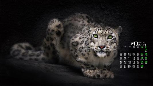 ps速成班哪里学,ps速成培训学习机构