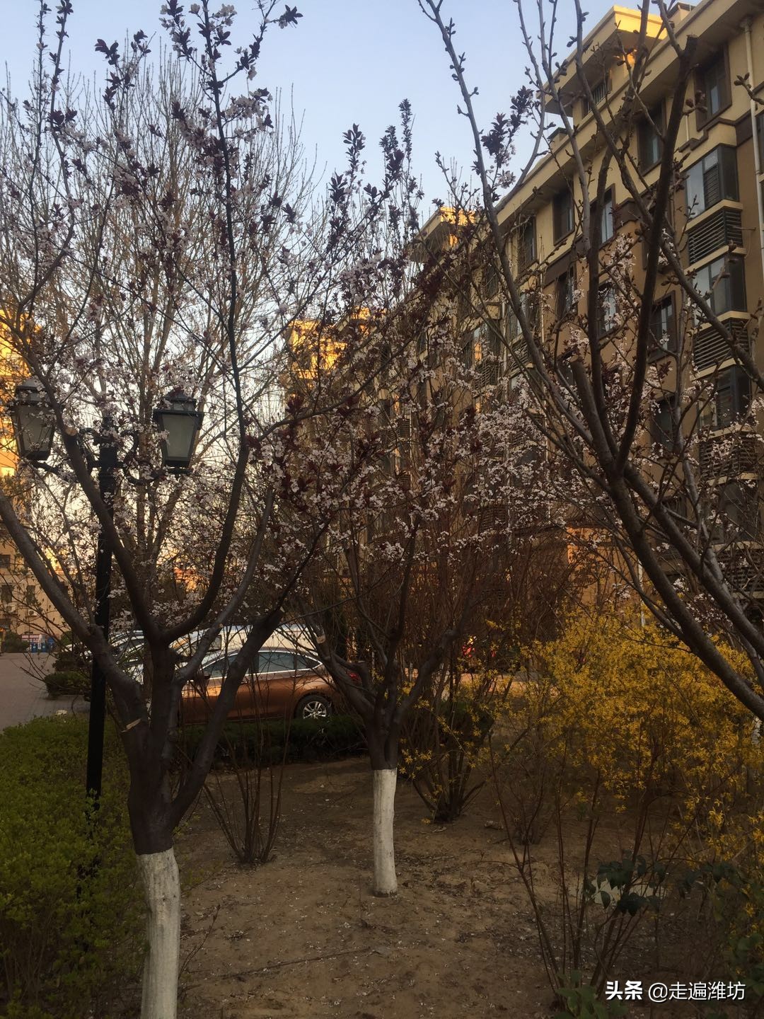 潍坊寒亭恒信首府商铺,潍坊寒亭恒信首府地址