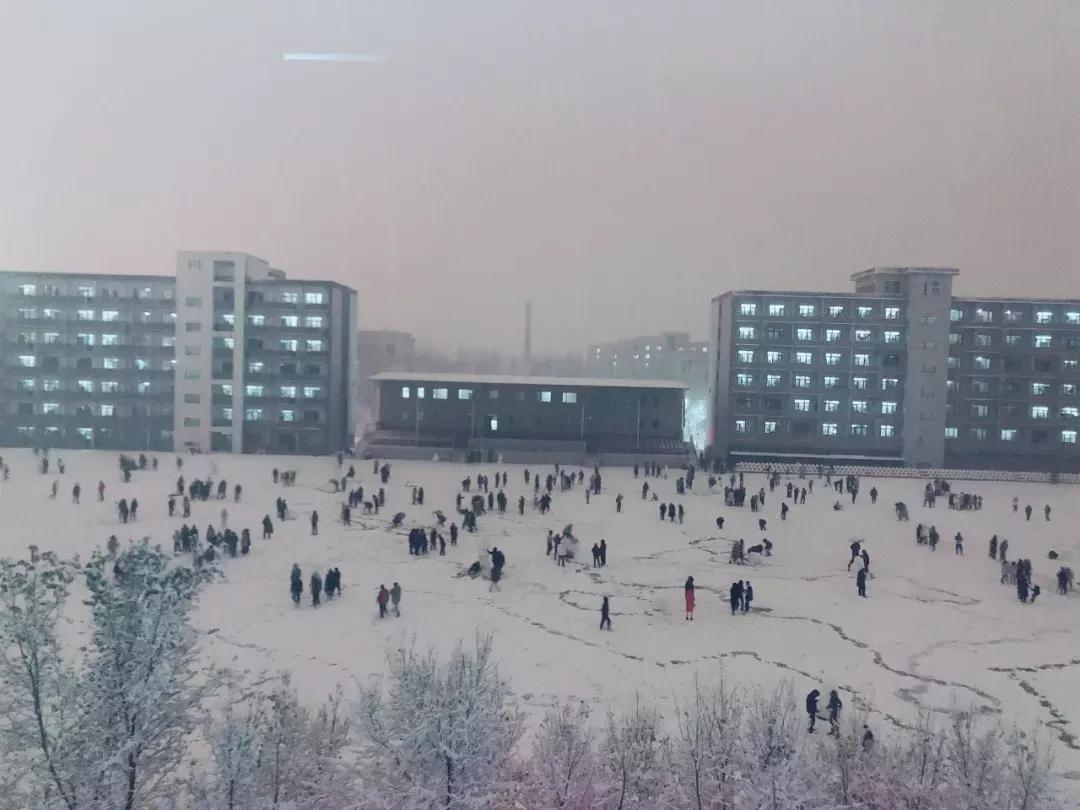 辽宁中医药大学杏林学院规模,辽宁中医学院杏林学院的排名