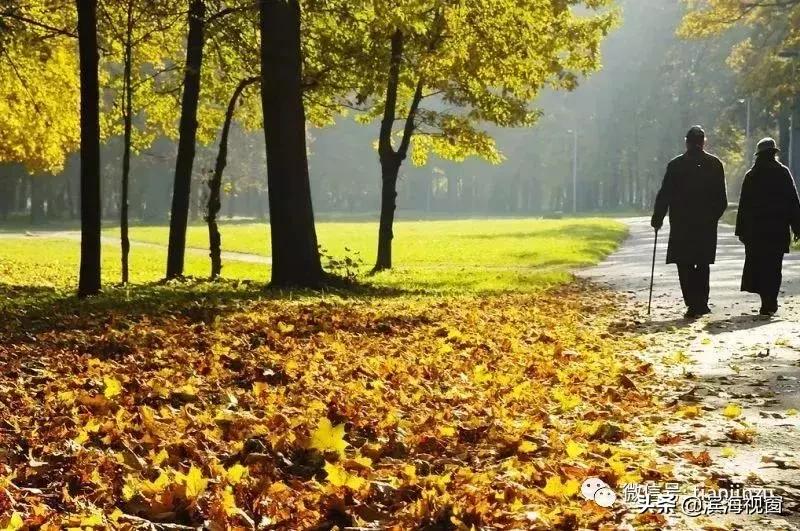 恭喜啦！天津开挂了，42个好消息集中爆发！快看看有没有你家？