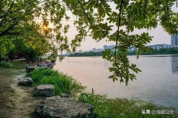 无锡十大免费公园排名榜最新,无锡晚上公园免费景点