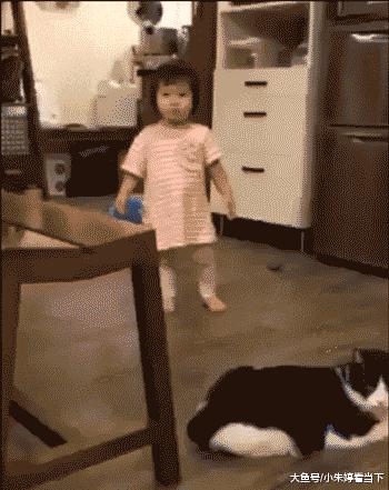 女人遇到狼怎么办,女孩遇见色狼如何自救