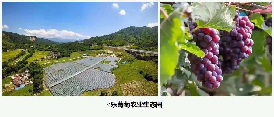 韶关云天海温泉推荐,韶关新丰云天海温泉酒店介绍