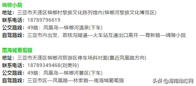 趁着春光出游海南,趁着春光明媚去旅行