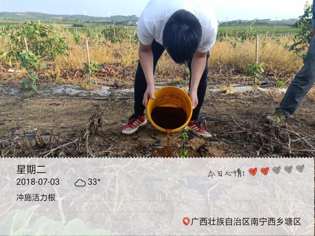 买的有机肥料为啥不溶水,为什么有的肥料很难溶