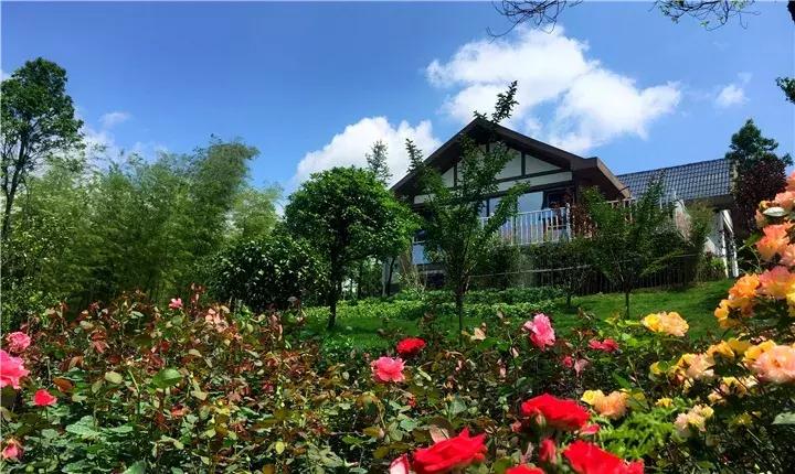 长沙松鼠园游玩攻略,端午长沙再成旅游热门目的地