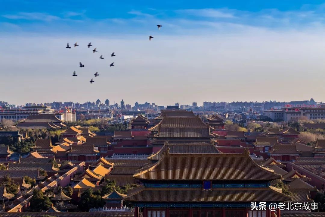 北京最具书香气息的小学,北京儿童最有名的学校