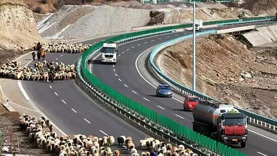 新疆十八怪原版,新疆十八怪风景