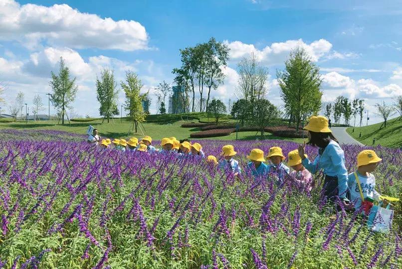 别人家的学校,天府七小和元音小学哪个好