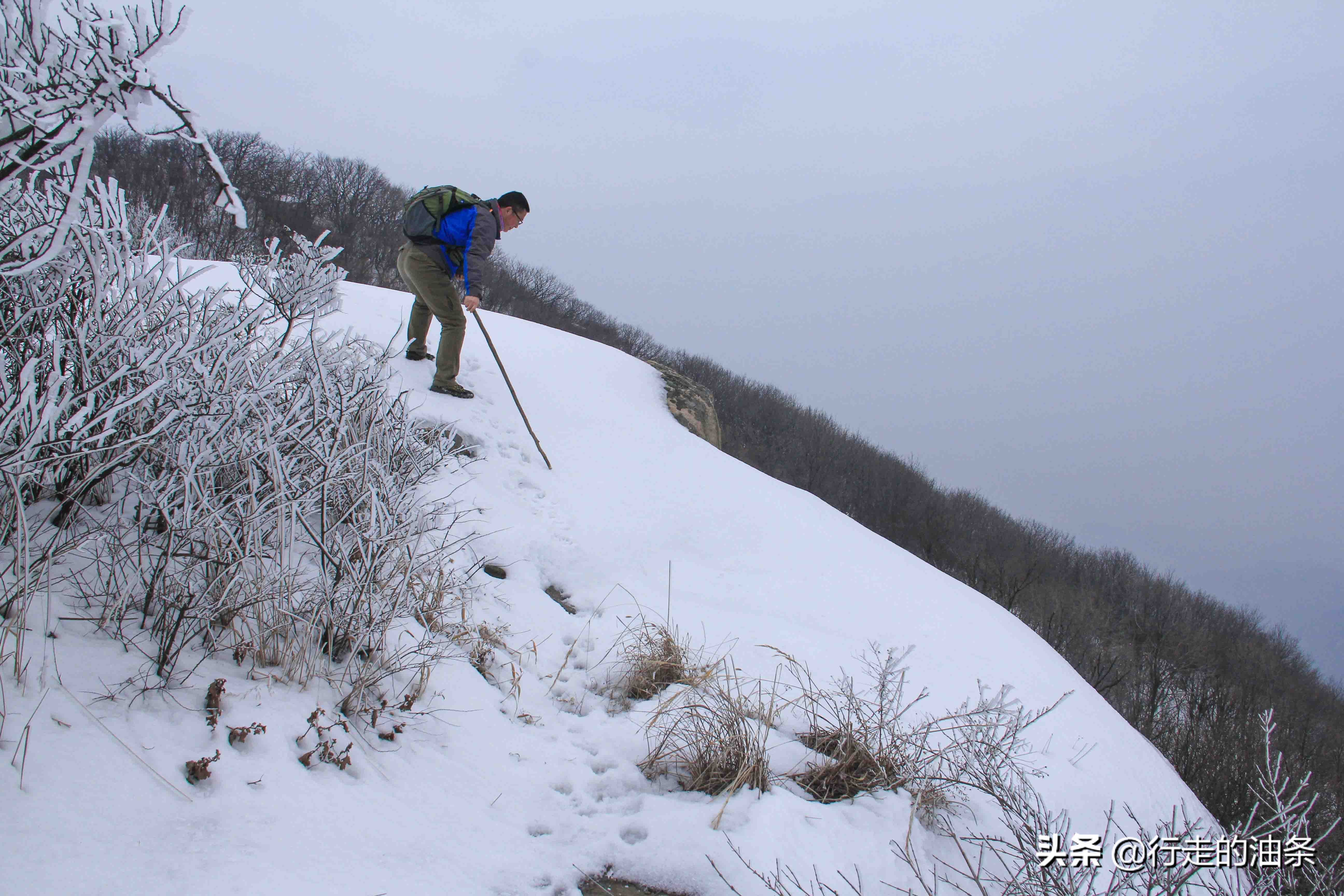 雪山迷路,雪山里迷路
