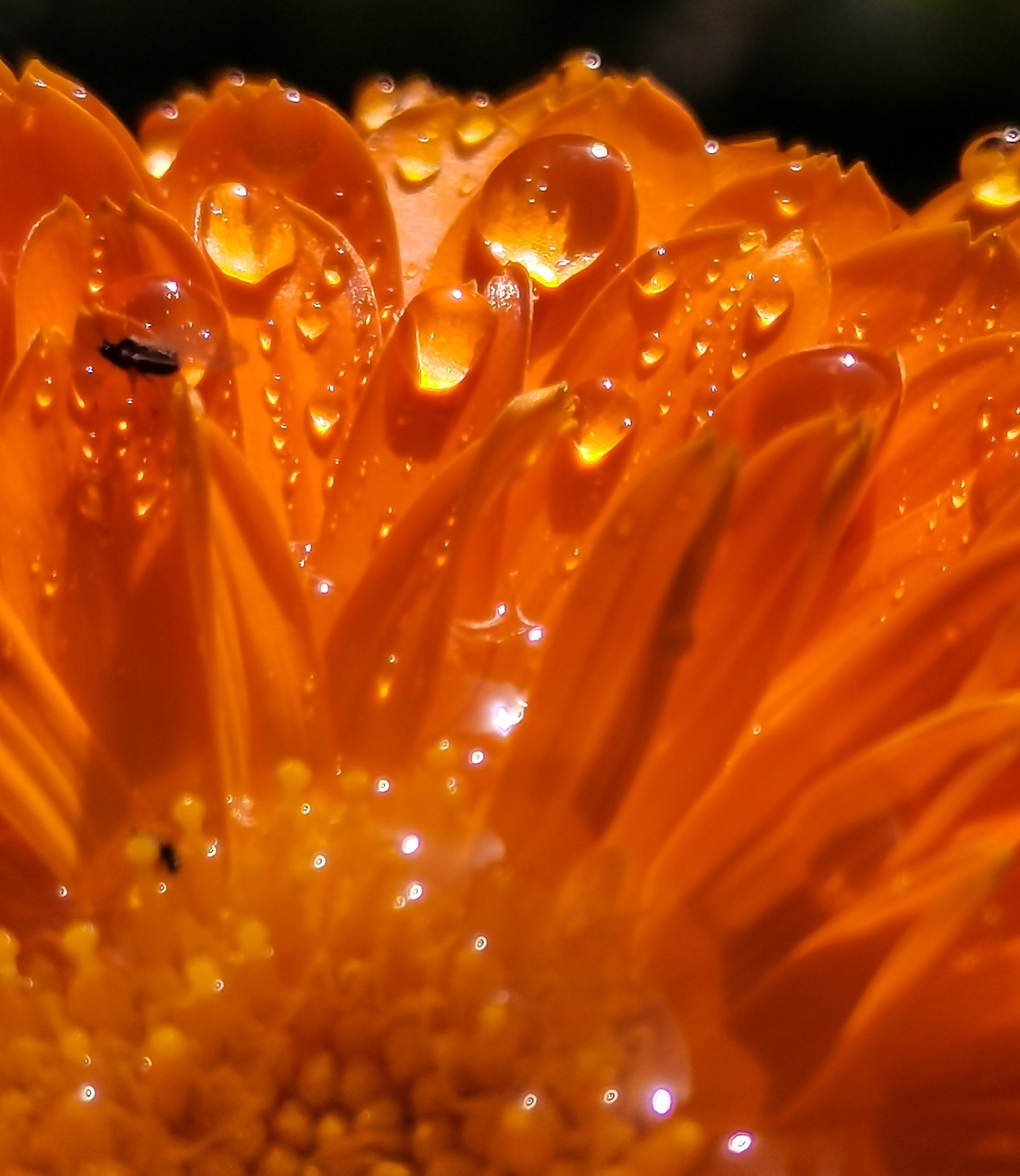 华为nova7和nova7pro功能,华为nova7pro有什么奇特的功能