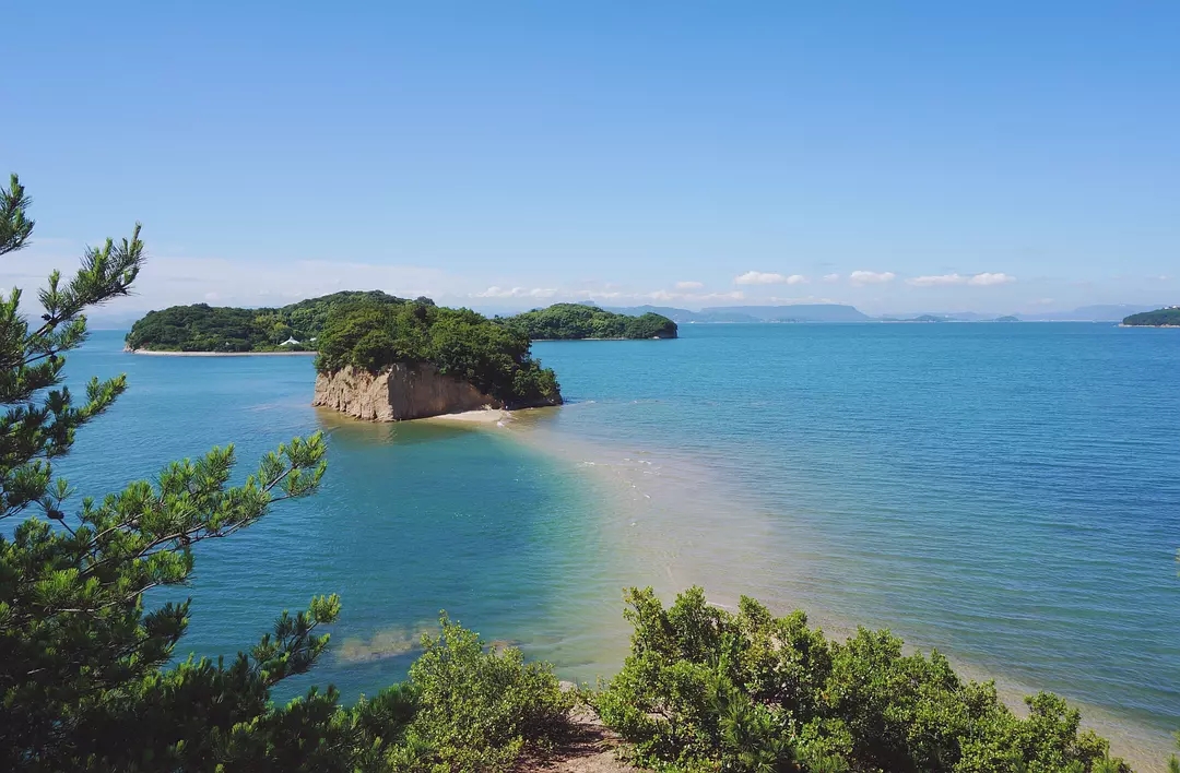 经典日本清酒,日本清酒甜口的推荐