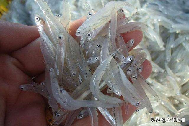 安徽池州市有几个县,安徽池州有山区吗