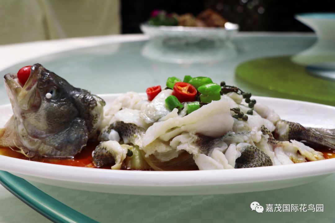 江阴嘉茂国际花鸟园,江阴嘉茂国际花鸟园什么时候再开