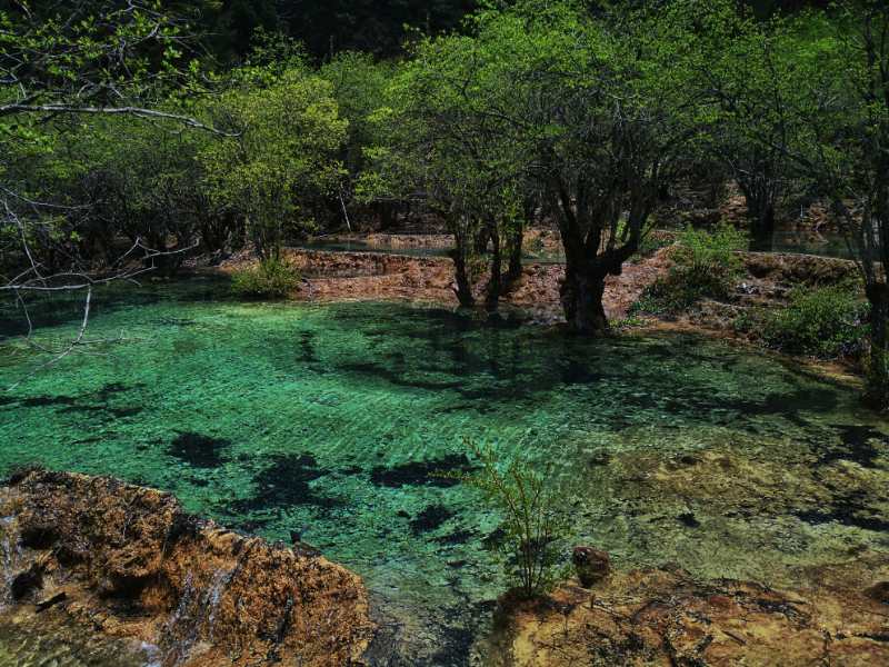 游览被誉为人间瑶池的四川黄龙,黄河之水天上来景区视频