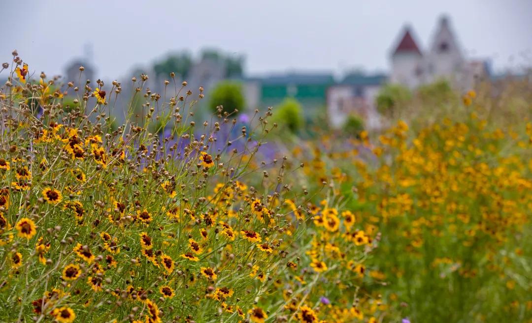 在济南花式避暑，一见“清”心！只需一瞥，便足以把酷夏原谅…