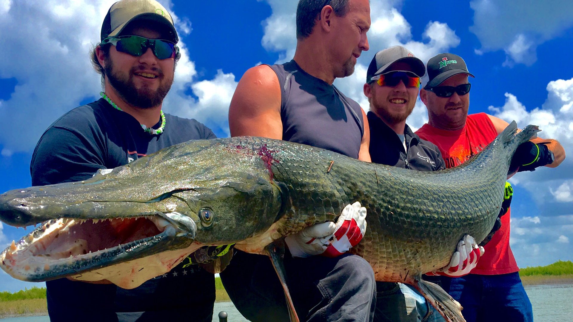 原产美国的“火箭鱼”，卵有毒不能吃，来到我国成为“水中一霸”