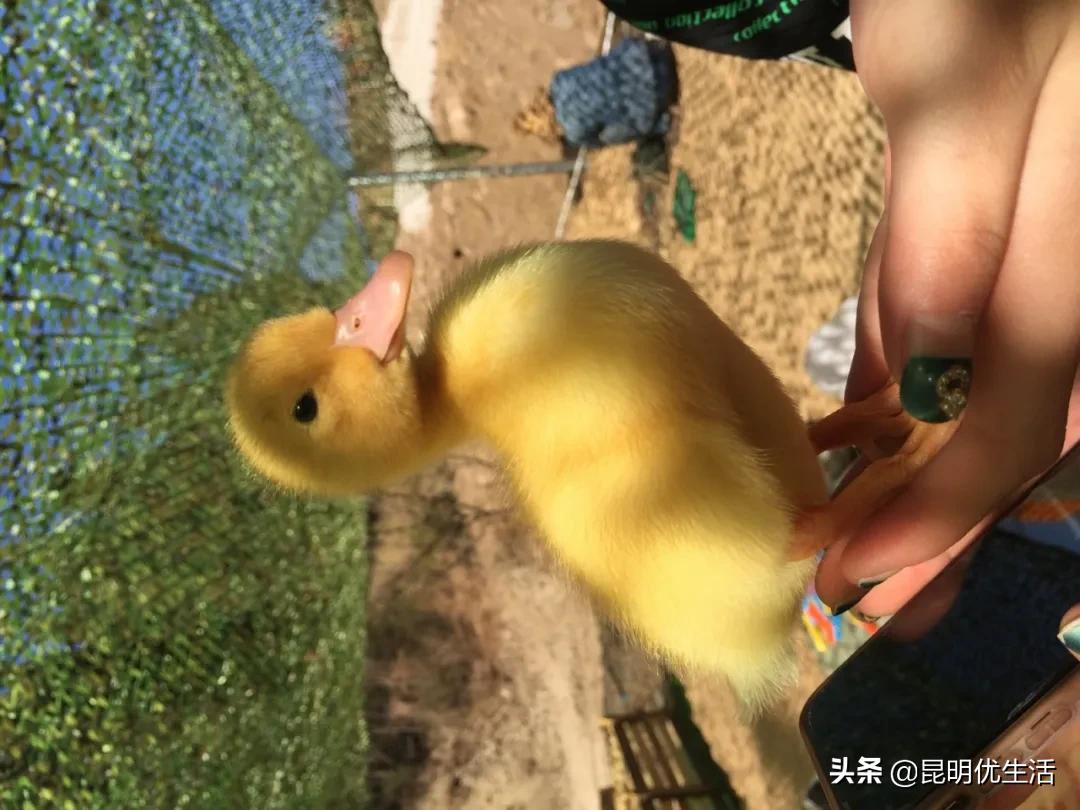 昆明周边亲子游乐场,昆明大型亲子乐园