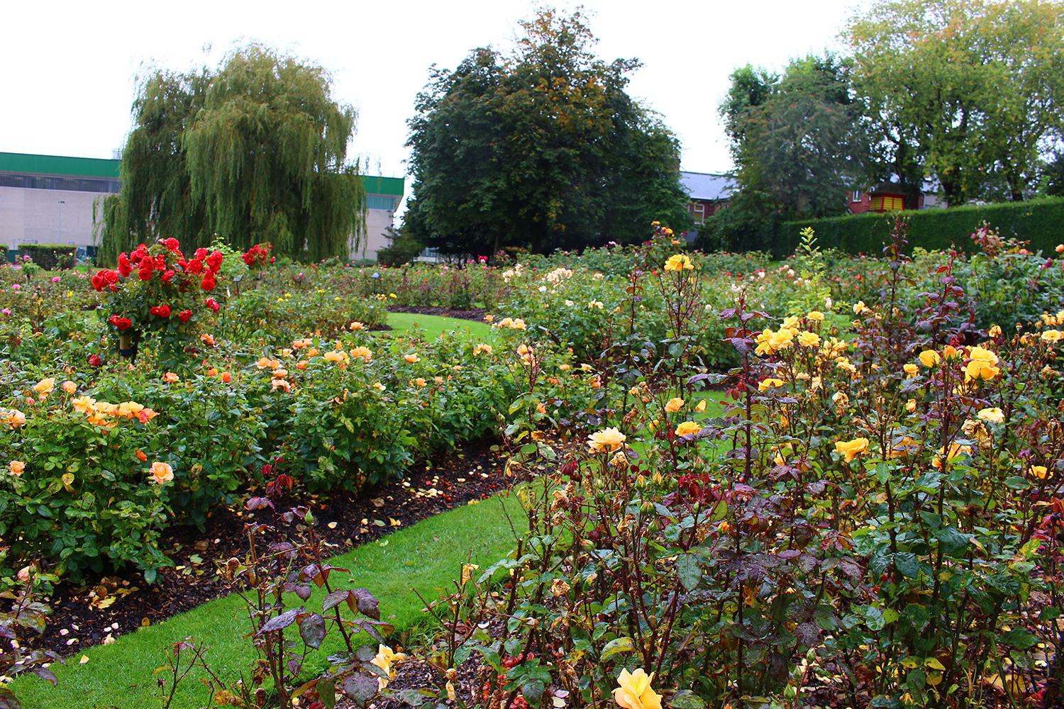英国留学|萨里大学的环境怎么样