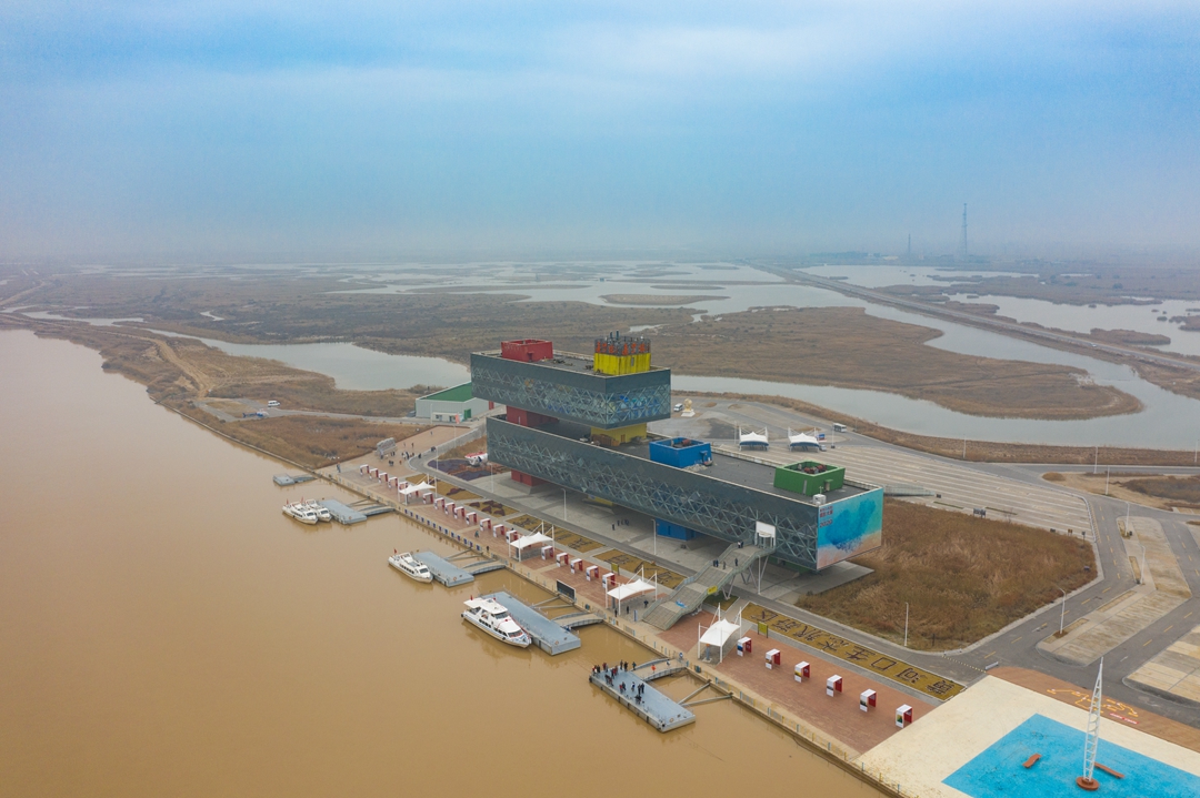 鸟类都会飞往南方过冬吗,鸟类全球迁徙